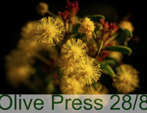 Olive Press 28/8