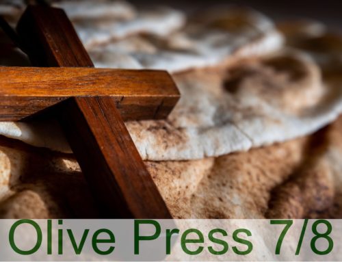 Olive Press 7/8