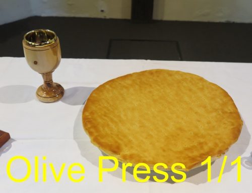 Olive Press 1/1